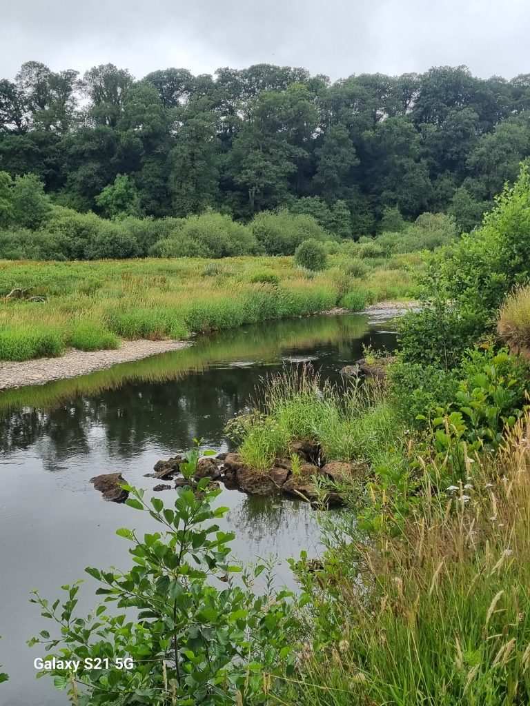 Serene river flowing through Halsdon Reserve, Devon Wildlife Trust, during Turnstyle Designs' visit.