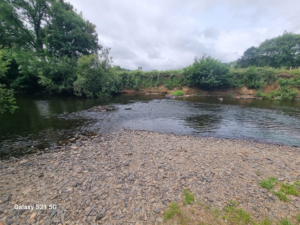 Serene river flowing through Halsdon Reserve, Devon Wildlife Trust, during Turnstyle Designs' visit.