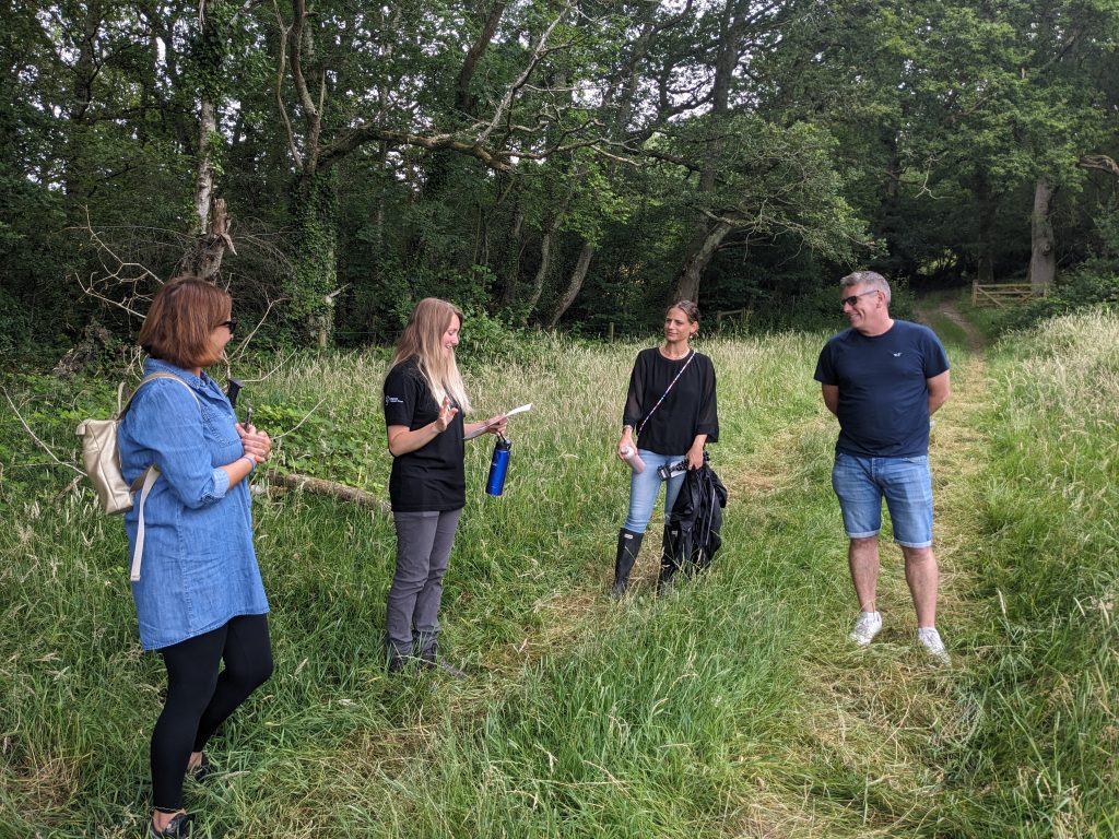 Turnstyle Designs team experiencing the breathtaking beauty of Halsdon Reserve, Devon Wildlife Trust.