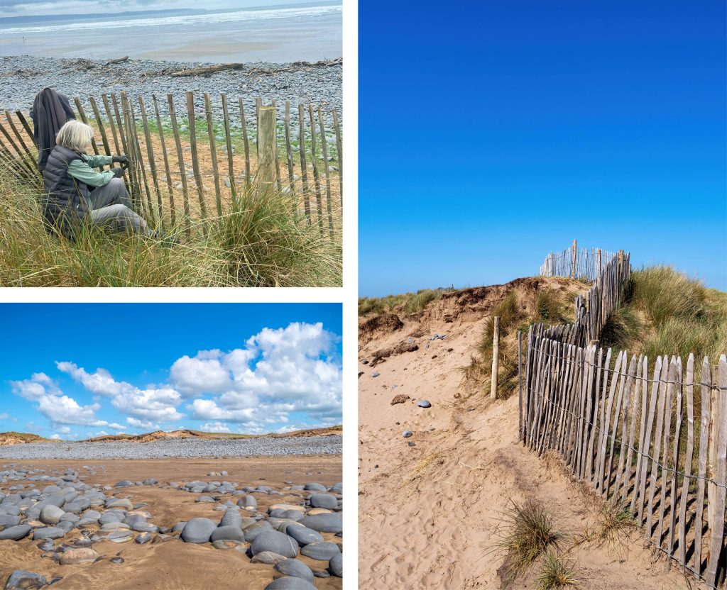 Collection of image within Northam Burrows.
